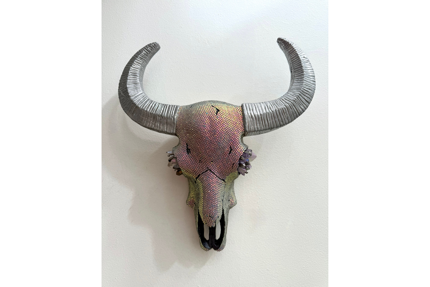 Desert Mirage Cow Skull