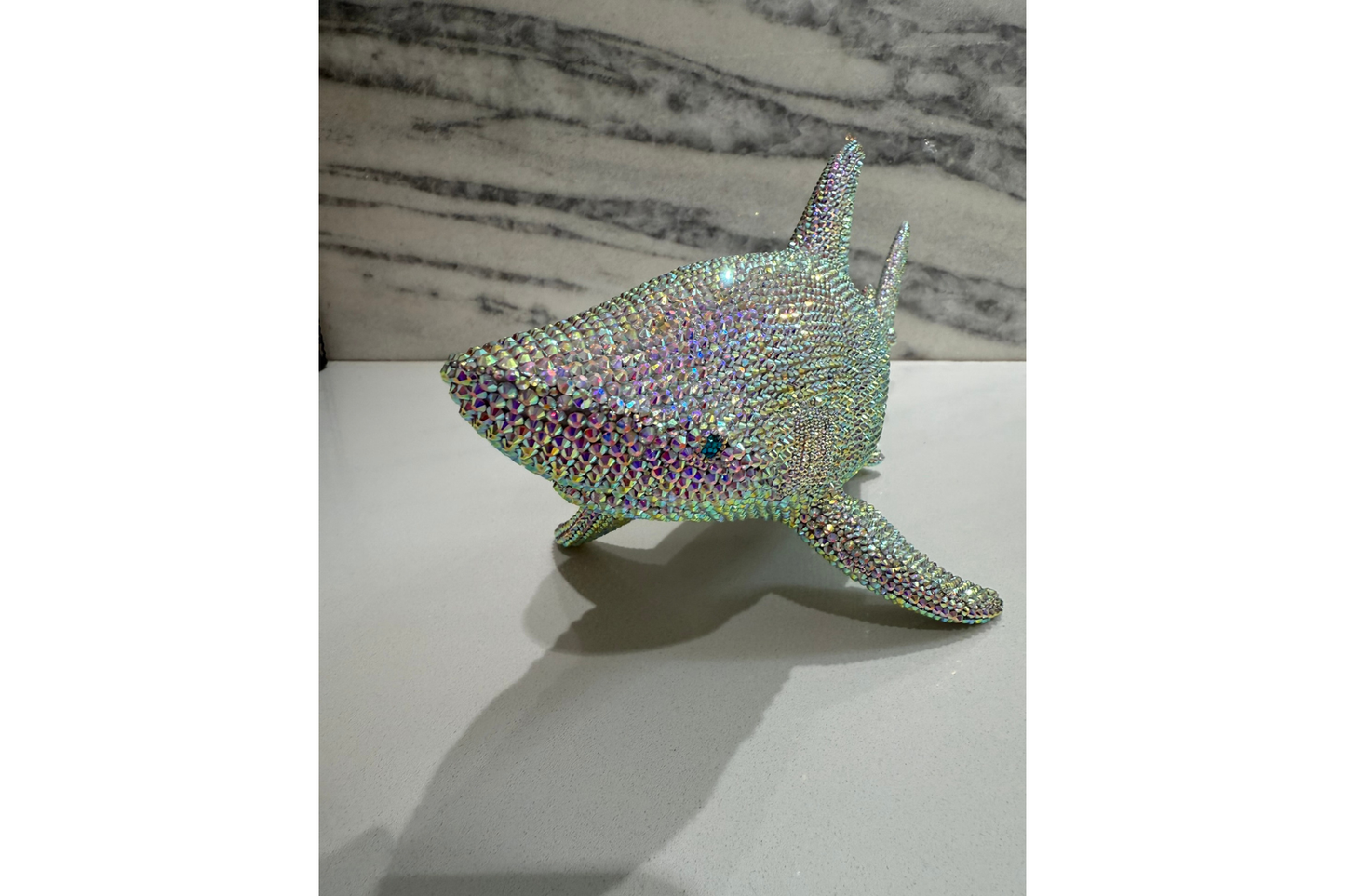 Shark