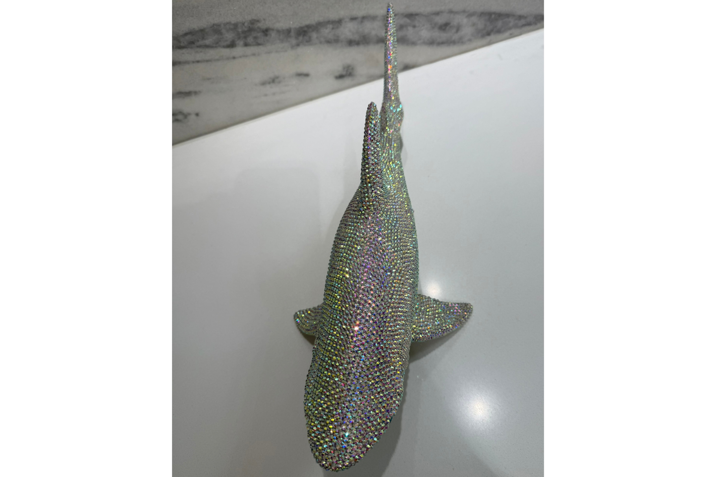 Shark