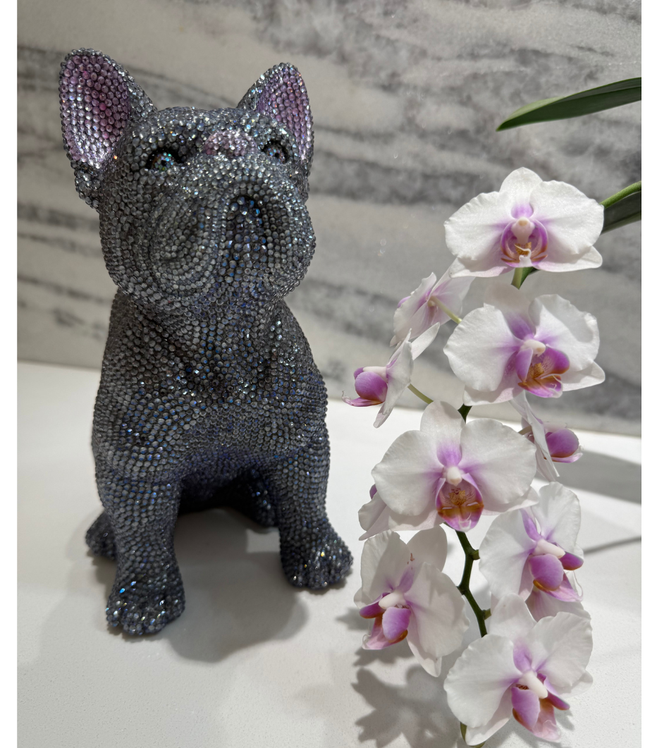 Pop-Inspired Décor