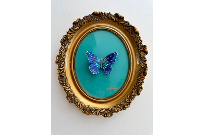 Sapphire Butterfly
