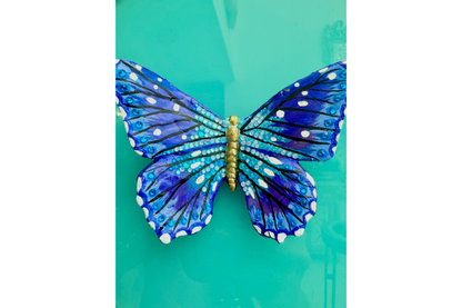 Sapphire Butterfly