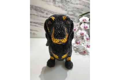 Doxie Royale