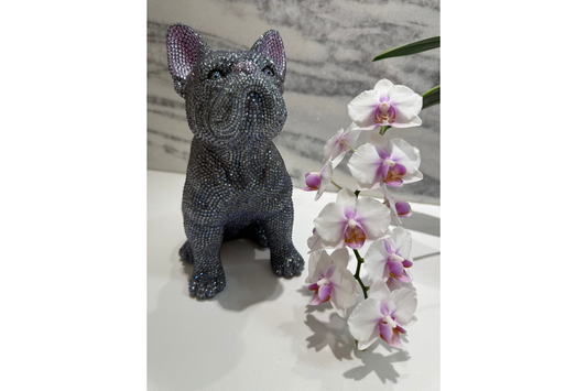 Crystal Frenchie – Dark Gray