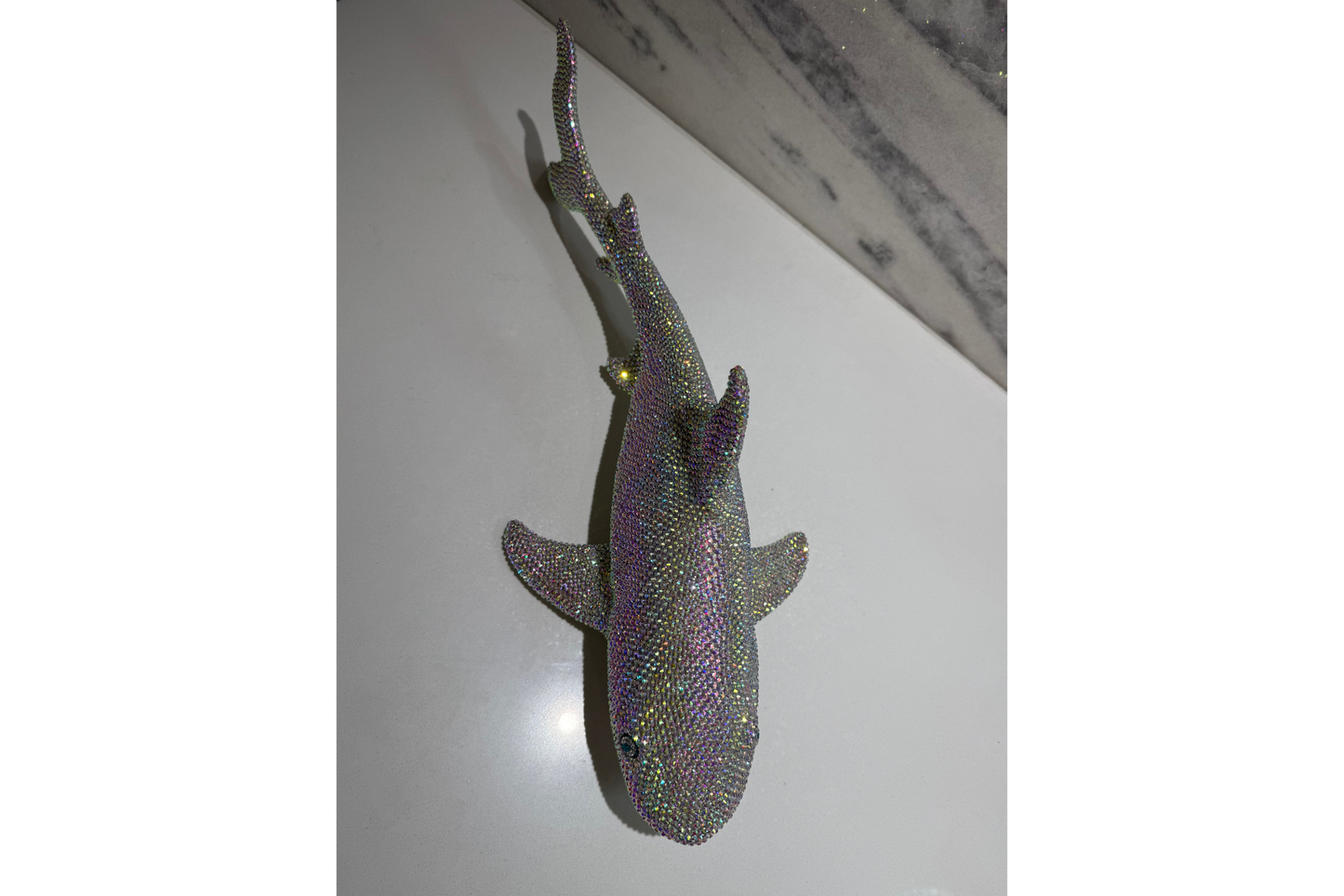 Shark