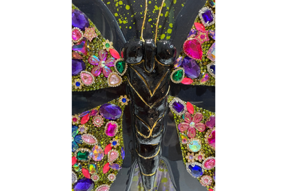 Multi Rectangular (The Jeweled Butterfly Collection)