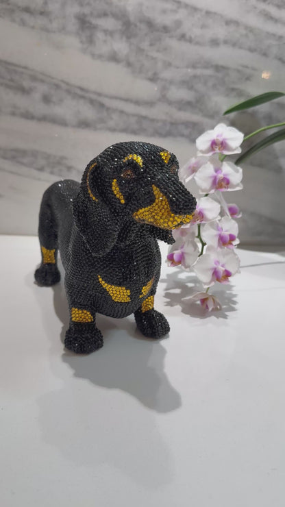 Doxie Royale