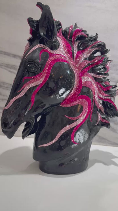 Equus Crystallographica