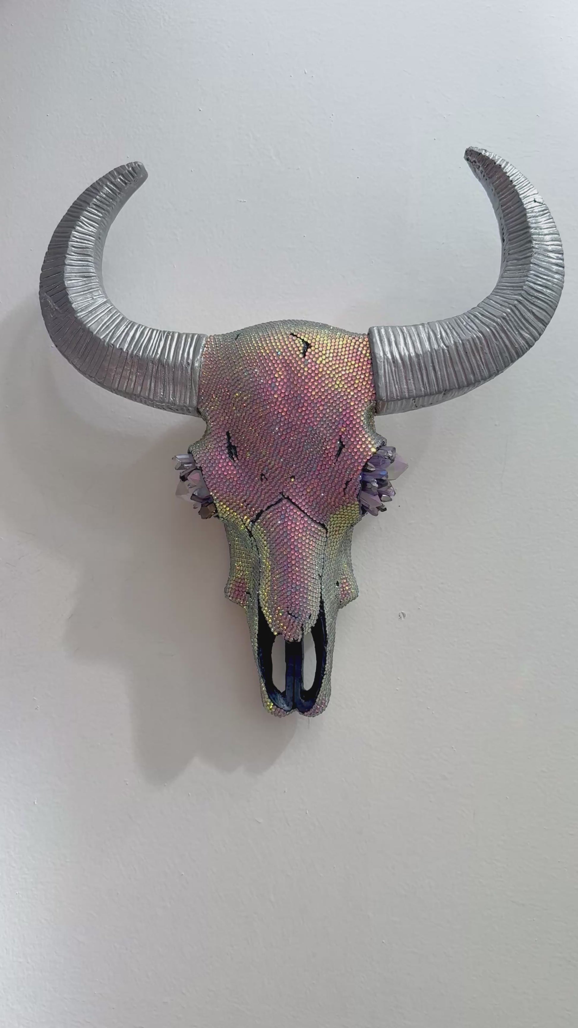 Desert Mirage Cow Skull