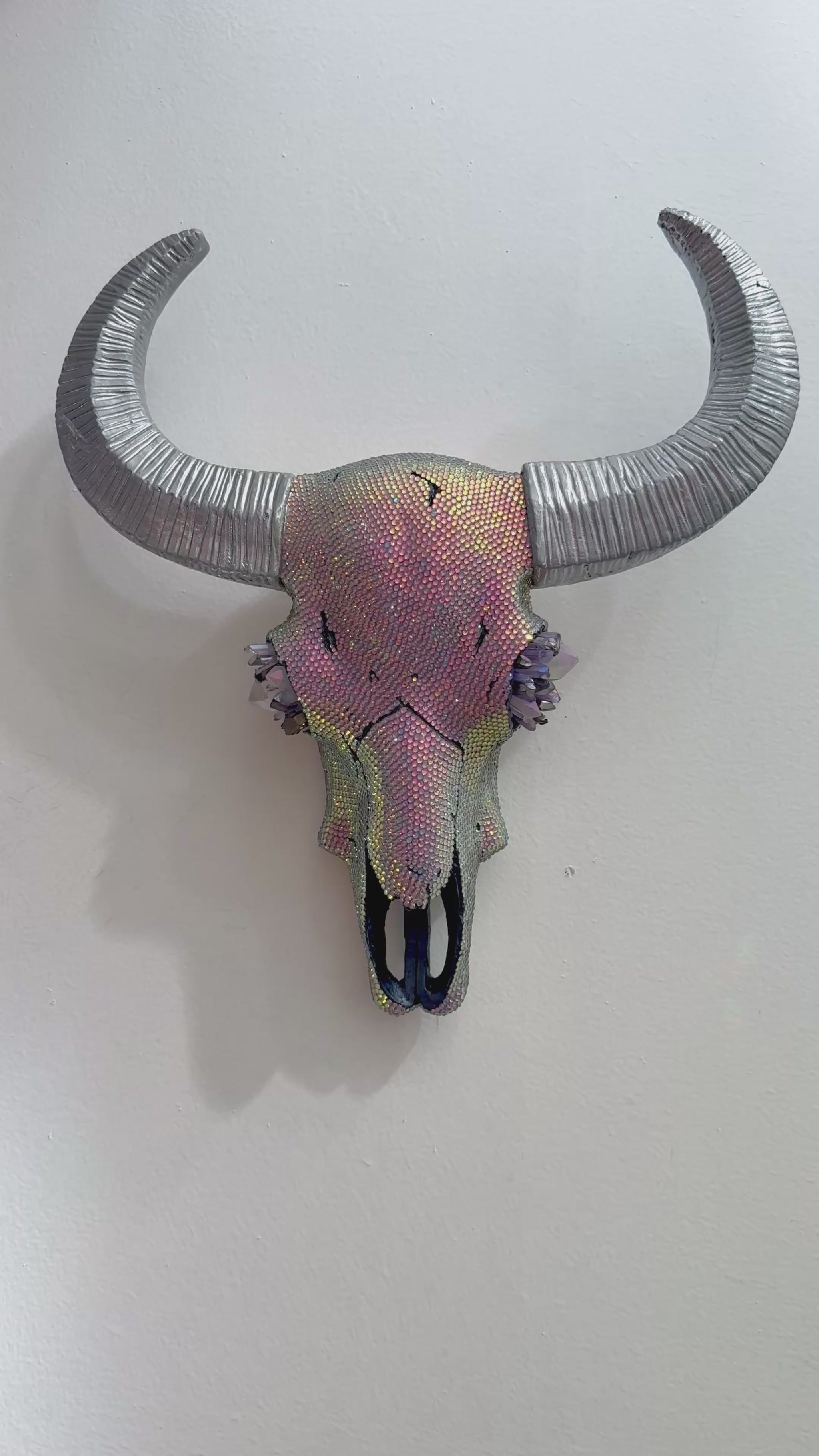 Desert Mirage Cow Skull